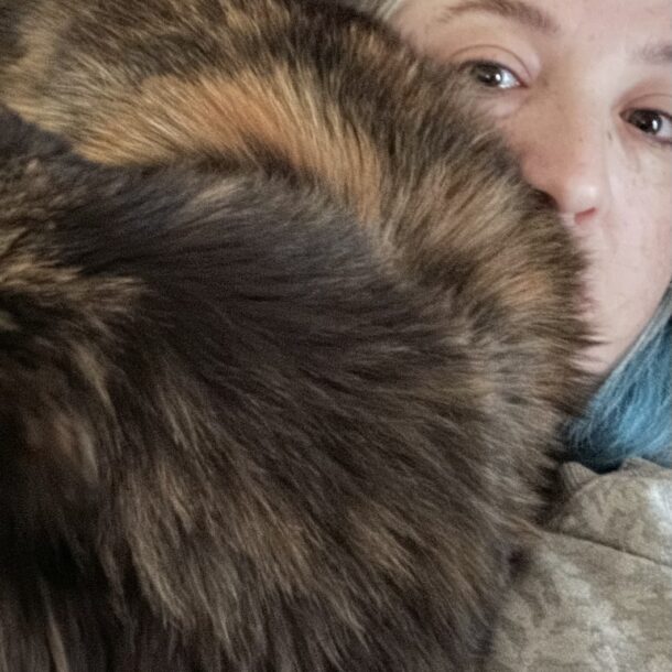 snuggle-cat-pet
